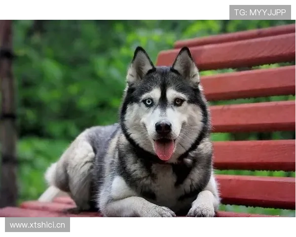 埃琳·安德森家的狗都比你我存款多